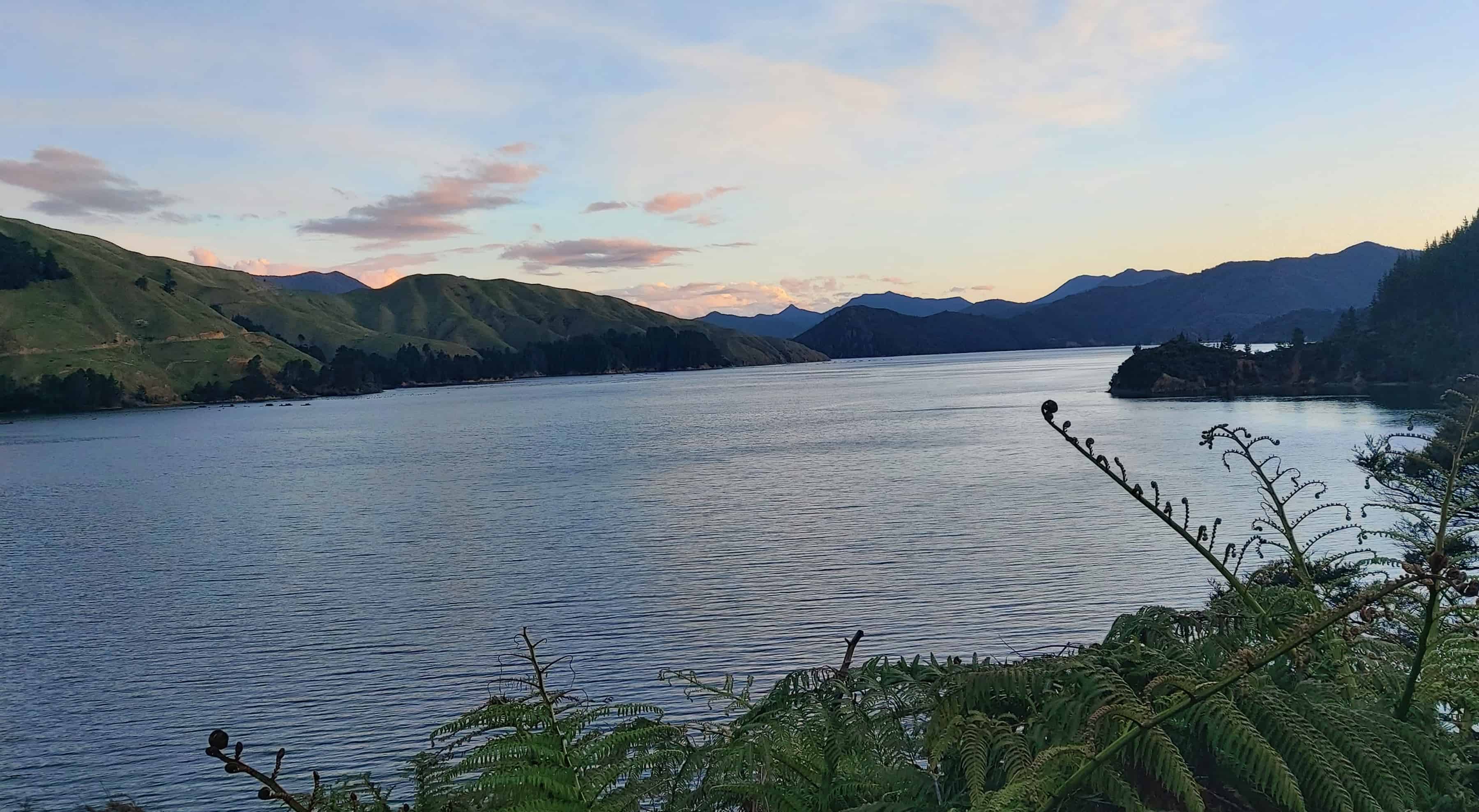 Cissy Bay Road, Marlborough Sounds, Marlborough For Sale realestate