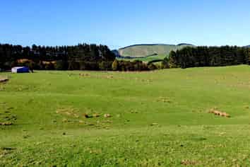 98 Millstream Road, Dannevirke