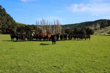 98 Millstream Road, Dannevirke
