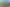 Auckland - Address withheld