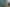 Auckland - Address withheld