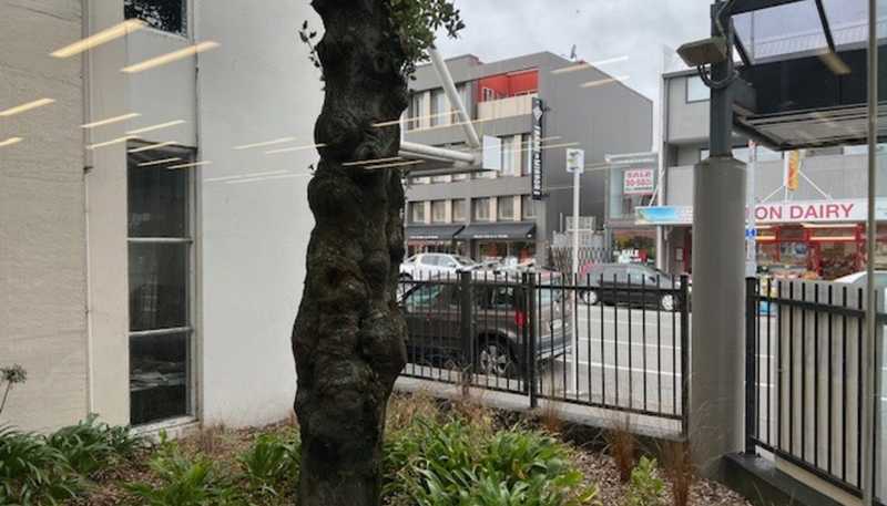 385 Colombo Street, Sydenham