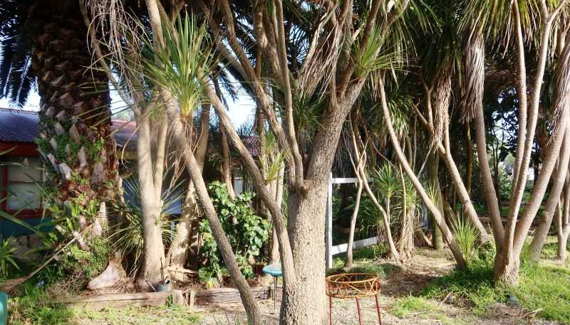 34 Seaview Road, Dargaville Surrounds