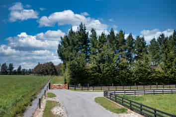 251 Worlingham Road, Eyrewell Forest