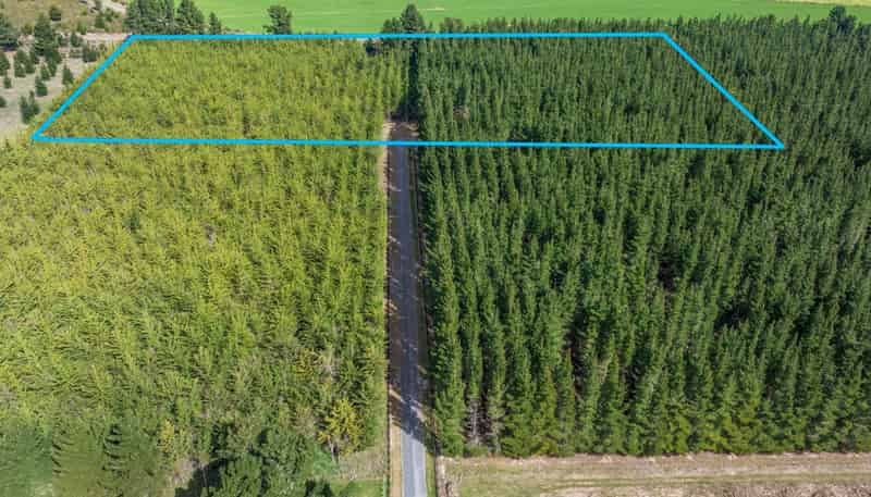243 Worlingham Road, Eyrewell Forest