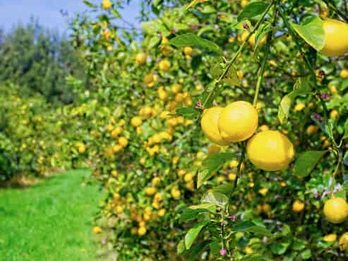 19 Pilmer Road, Makauri