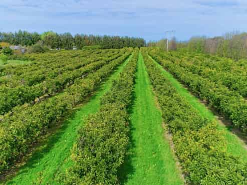 19 Pilmer Road, Makauri