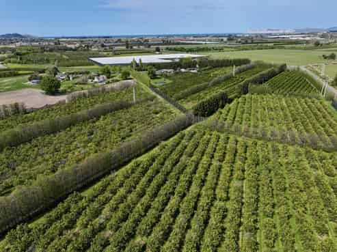 19 Pilmer Road, Makauri