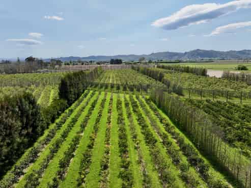 19 Pilmer Road, Makauri