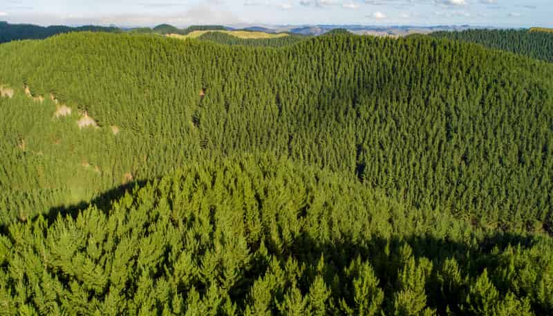  Whanganui Estate, Brunswick