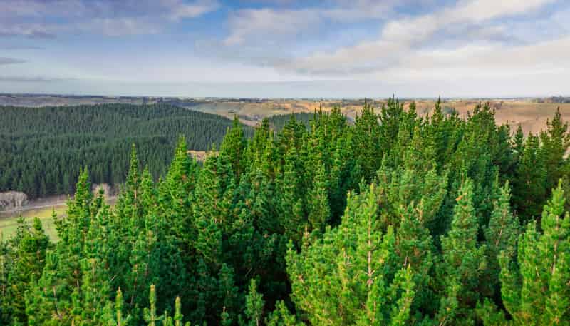  Whanganui Estate, Brunswick