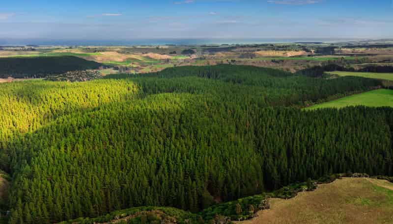  Whanganui Estate, Brunswick