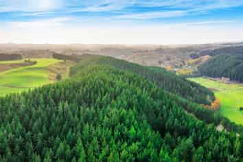 Whanganui Estate, Brunswick