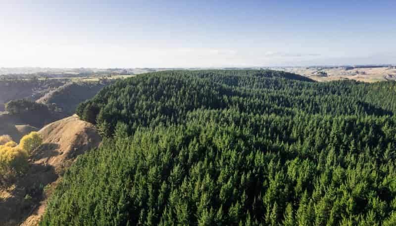  Whanganui Estate, Brunswick