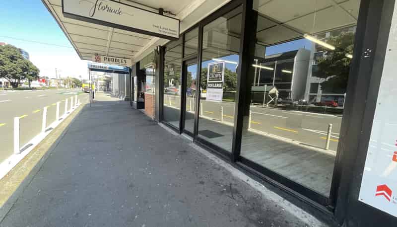 15 Cambridge Terrace, Te Aro