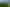  Okoia Forests 1 & 2, Okoia