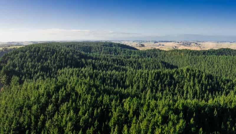  Okoia Forests 1 & 2, Okoia