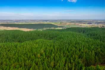  Glencroft Forests 1, 2 & 3, Brunswick