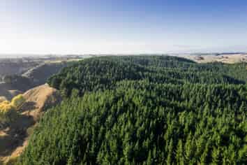  Okoia Forests 1 & 2, Okoia