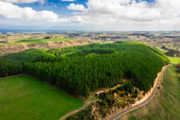  Glencroft Forests 1, 2 & 3, Brunswick