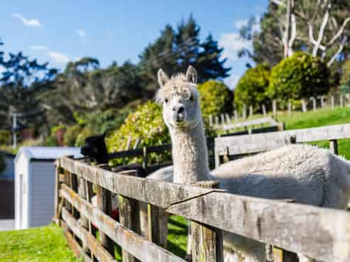 997 Ohariu Valley Road, Ohariu