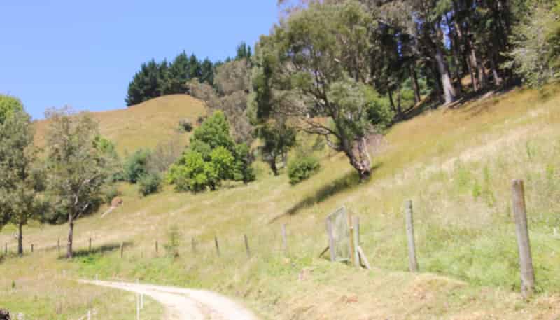 172B Kaukatea Valley Road, Okoia