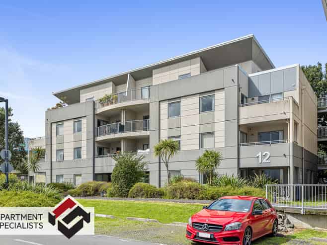 12 Morning Star Place, Mount Albert