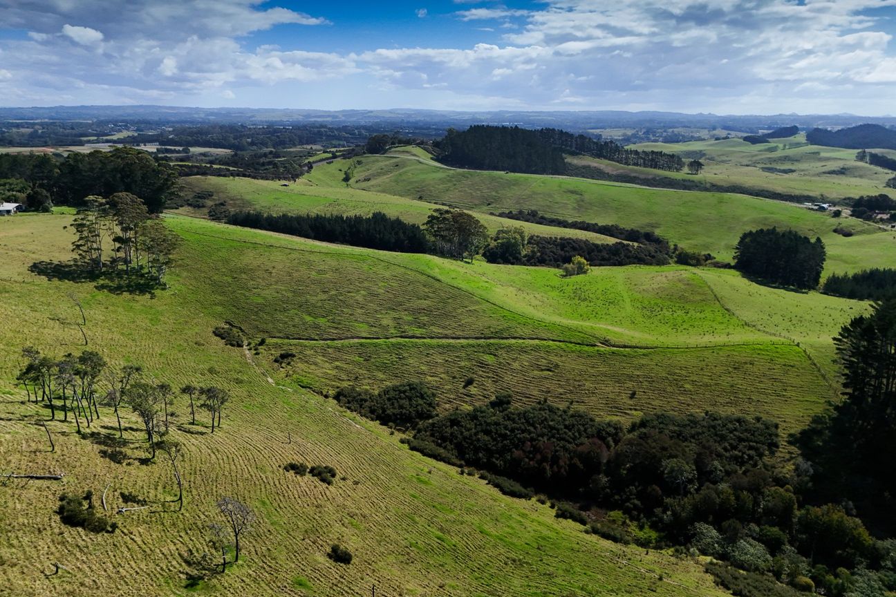 Coastal grazing block with development potential - Więcej