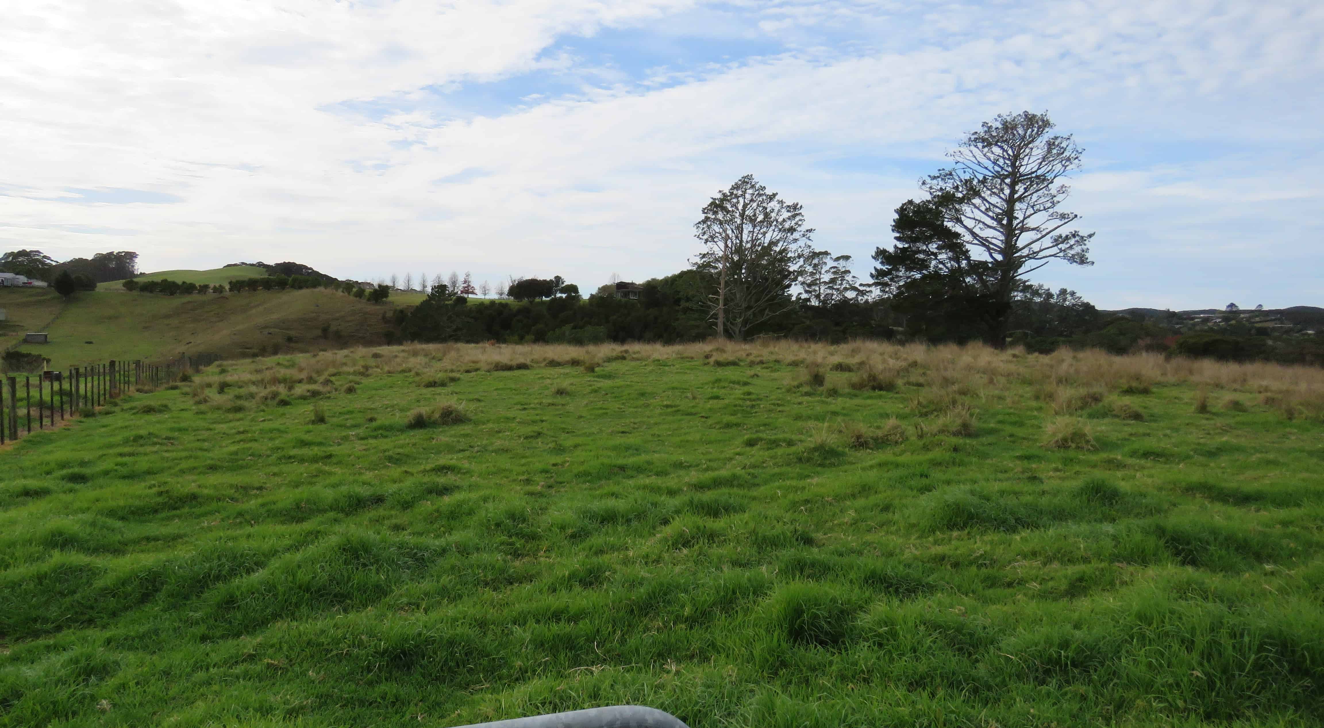 45B Jameson Esplanade, Haruru, Far North For Sale realestate.co.nz