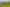 2586 Awhitu Road, Awhitu