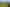 2594 Awhitu Road, Awhitu