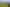 2594 Awhitu Road, Awhitu