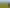 2594 Awhitu Road, Awhitu