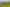 2590 Awhitu Road, Awhitu