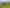 2590 Awhitu Road, Awhitu