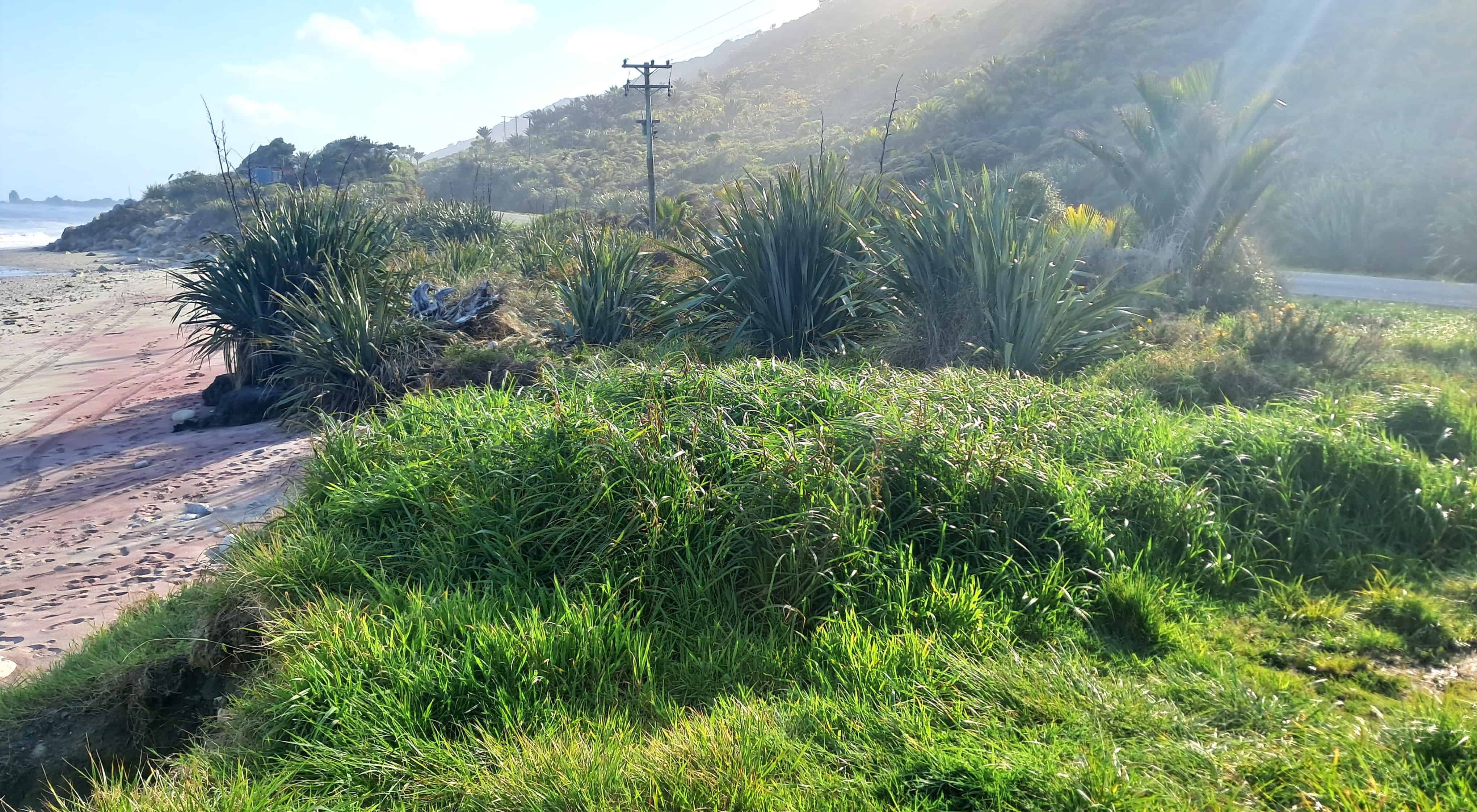 State Highway 6, Coast Road, Fox River, Buller For Sale realestate