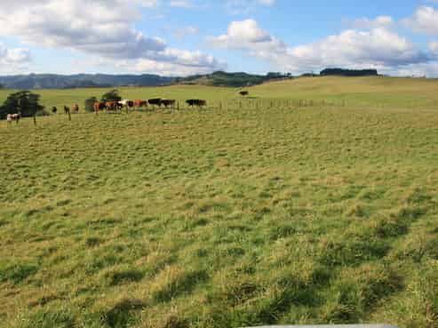 147 Mangatoro Road, Tongaporutu