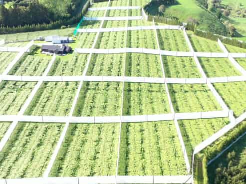 882 Maniatutu Road, Pongakawa