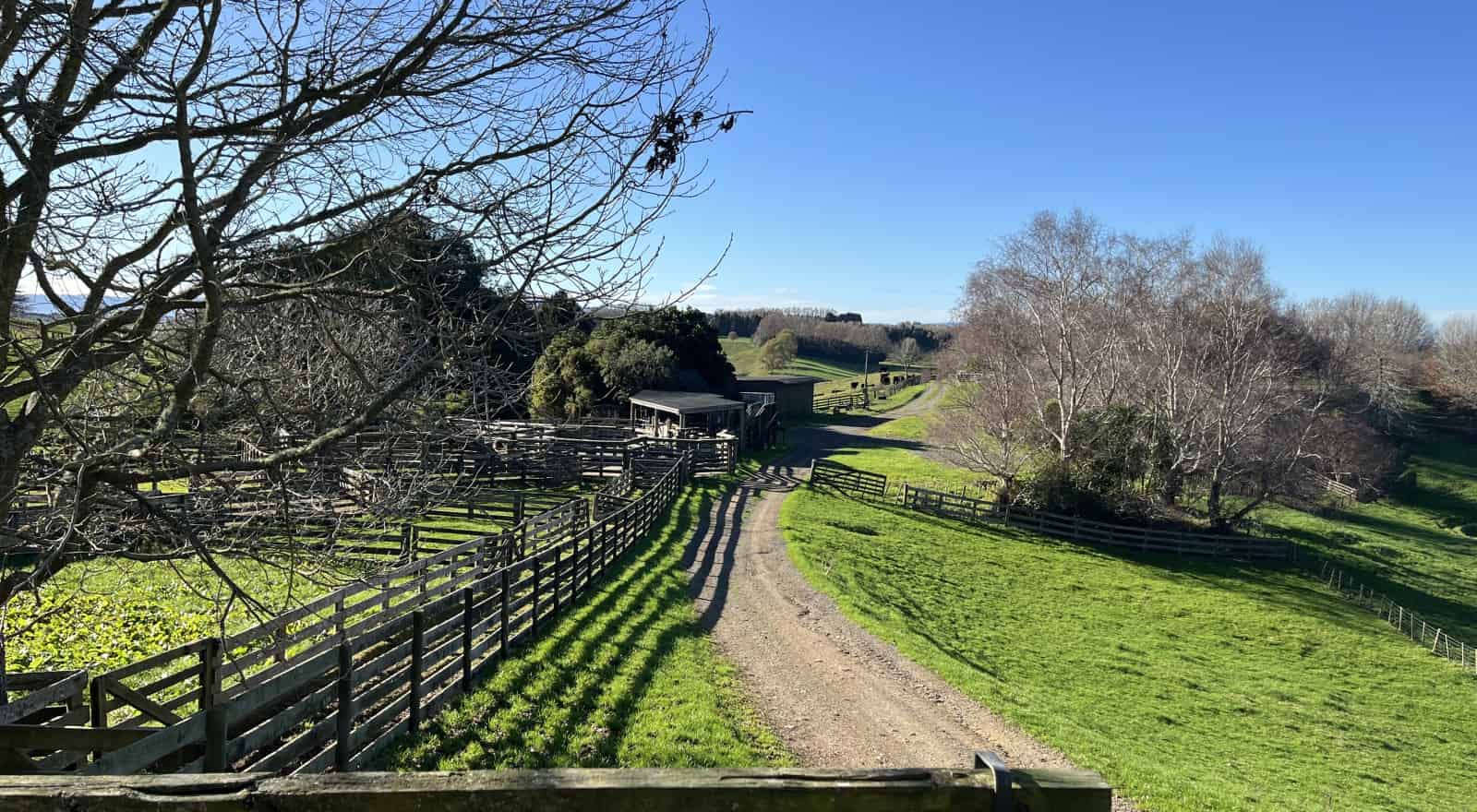 107A Mathieson Road, Karapiro, Waipa For Sale realestate.co.nz