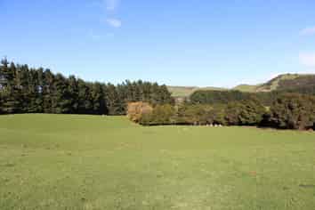 Lot 2 98 Millstream Road, Dannevirke