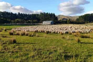 Lot 2 98 Millstream Road, Dannevirke