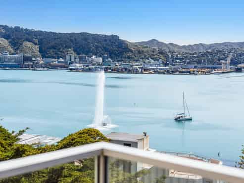 5/9 Wilkinson Street, Oriental Bay
