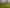1522 Parewanui Road, Bulls