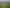 1522 Parewanui Road, Bulls