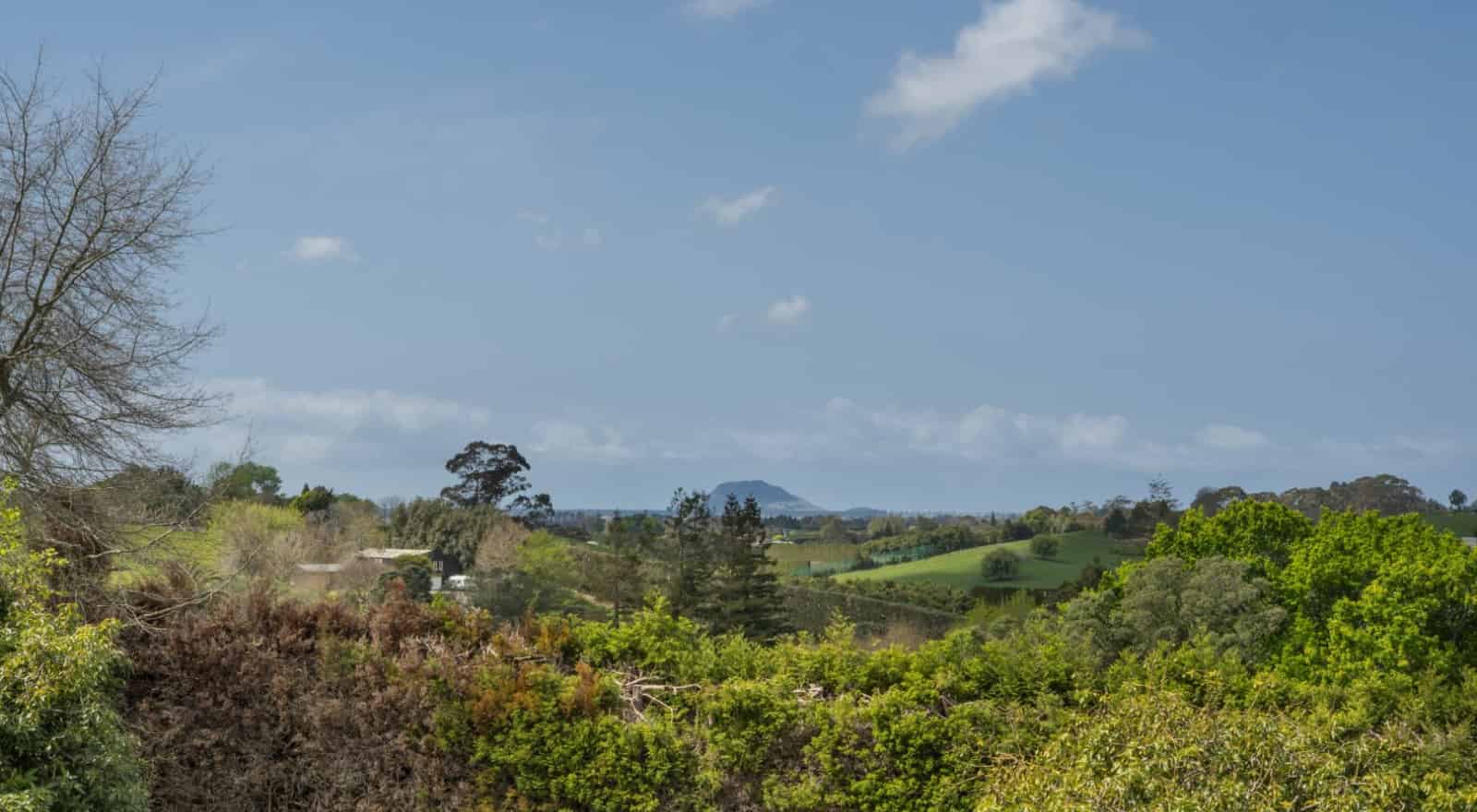 390F Old Highway, Whakamarama, Western Bay Of Plenty For Sale realestate.co.nz