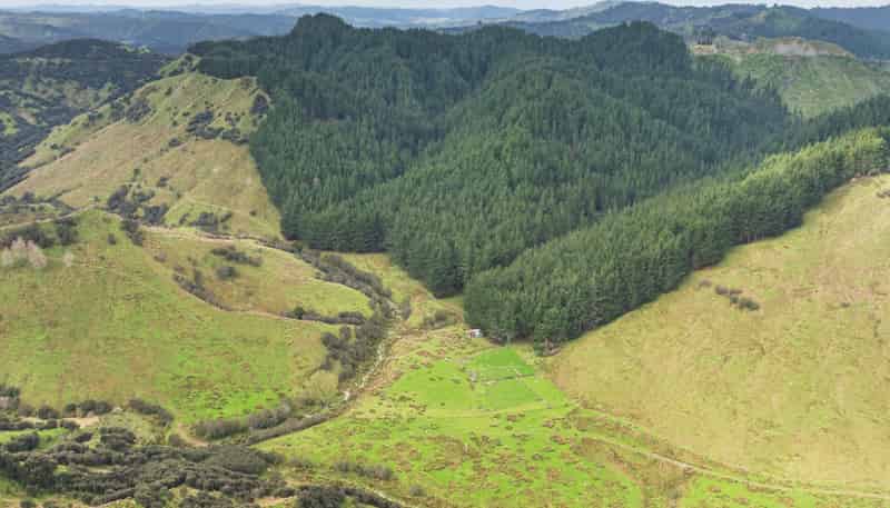 1151 Tangahoe Valley Road, Hawera