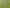 43 Biddick Road and 821 Linwood Road, Karaka
