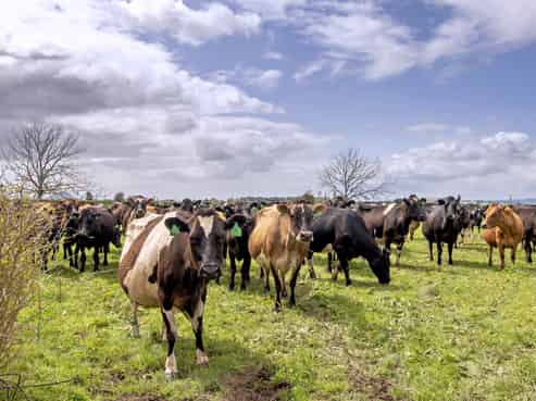 146 Gow Road, Matata