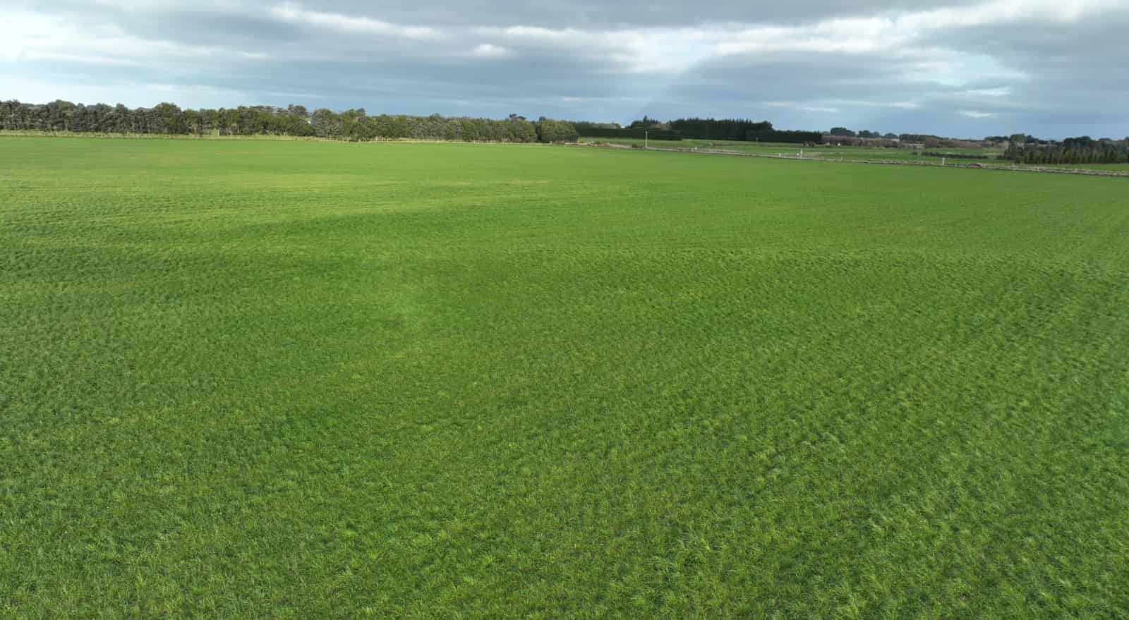 390 Wallacetown Lorneville Highway, Makarewa, Invercargill City For