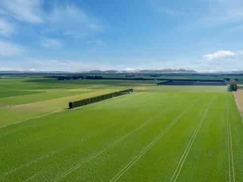 2034 Rakaia Highway, Rakaia